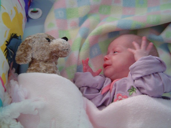 emily Lynn jan-Feb 001.jpg